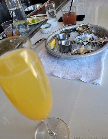 shafunlife beste archiv