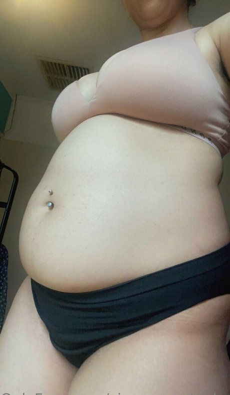 cinnamonstacked exklusive beste galerien