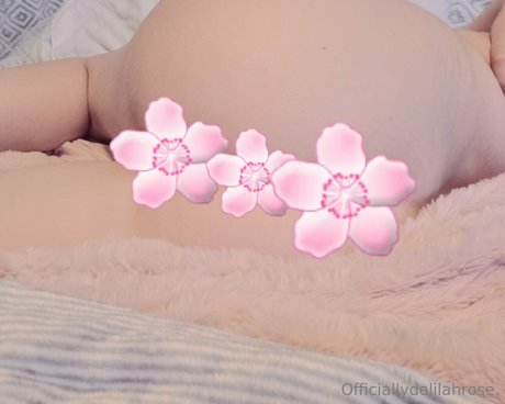 officiallydelilahrose perfekte beste foto