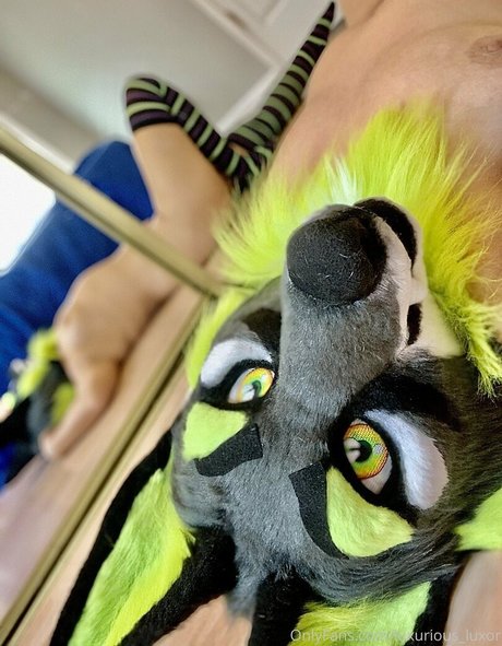 luxurious luxor pornostar bild