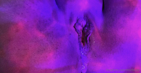 rote haare nur fans hübsche nette archiv