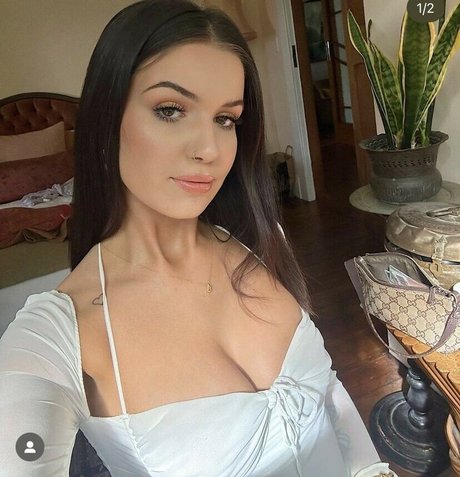 pets hendrikseigshid freie schöne galerien