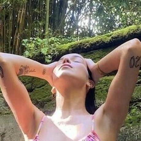 pets hendrikseigshid kostenlose perfekte galerien