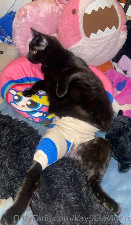 blonde junge onlyfans hd schöne galerien