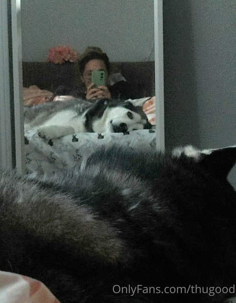 thugood pornostar perfekte archiv