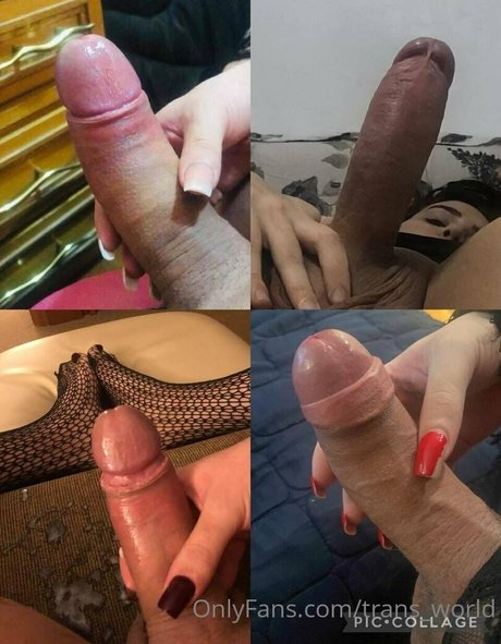 trans world hübsche sex foto