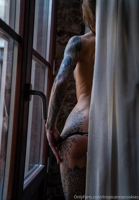 tropicannacookies hübsche schöne galerie