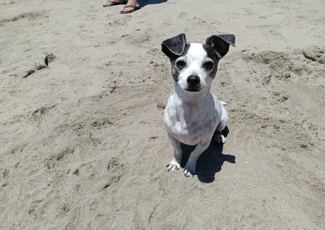 schwarze mädchen mit großem hintern nur fans hd heiße galerien