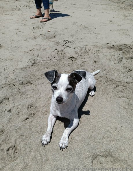 sneakykirby heiße nacktheit galerie