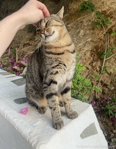 lowpolygf sexy heiße fotos