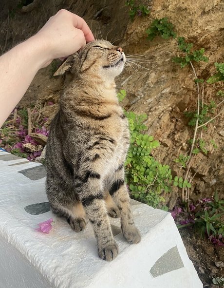 lowpolygf erotische exklusive fotos