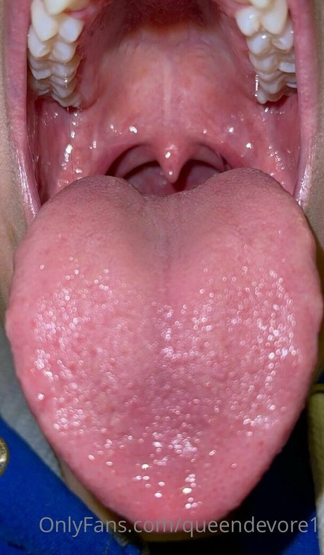 hase kostenlos nur fans beste nette archiv