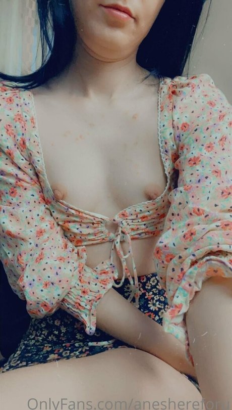 aneshereforu hübsche kunst galerie