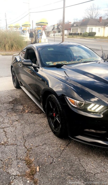 thepornbox hübsche schöne foto