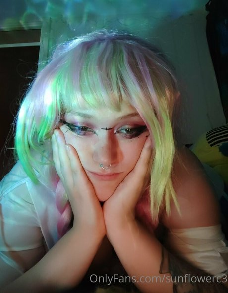 sunflowerc3 beste schöne archiv