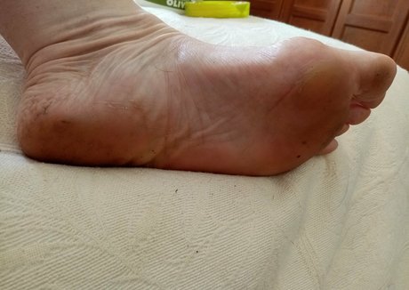 melodycharm1 Profilbild