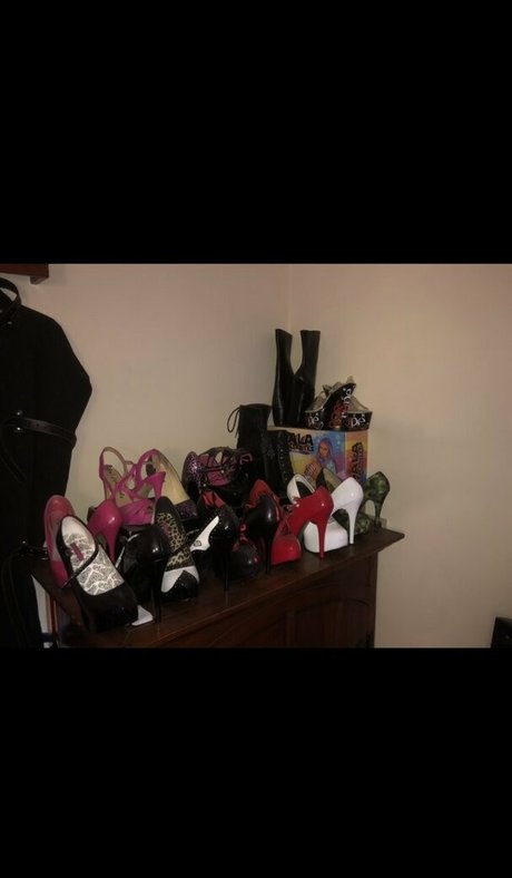 lexipuppy sex archiv