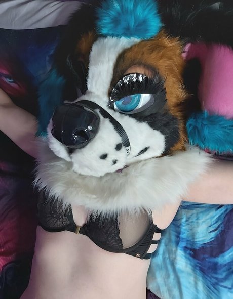 lexipuppy hd nacktheit archiv