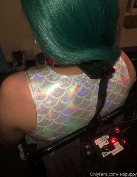 lexipuppy kostenlose hübsche galerien