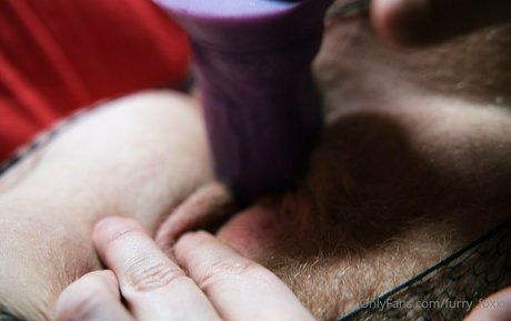 furry foxxy perfekte kunst galerien