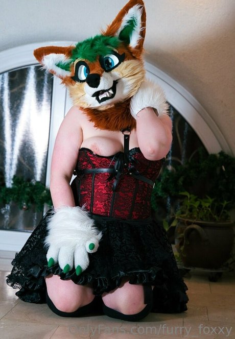 furry foxxy erwachsene pornographische bild