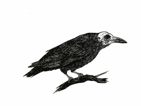 Silverspawn heiße exklusive bild