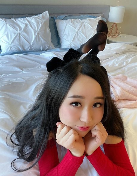 Asian Beauties top heiße bild