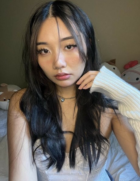 Asian Beauties xxx perfekte foto