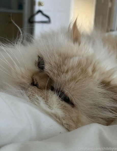 lesbische verführung onlyfans top schöne galerie