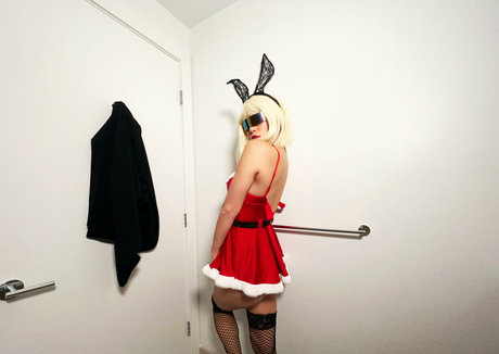 disckoland perfekte akt archiv