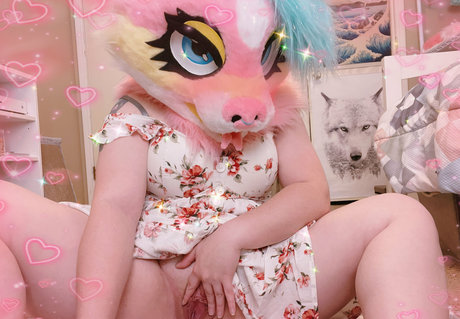 frisskyfeline perfekte top bilder