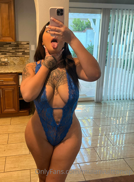 MulanVuitton kunst hd archiv