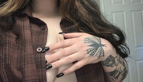 aquariush0e hübsche schöne bild