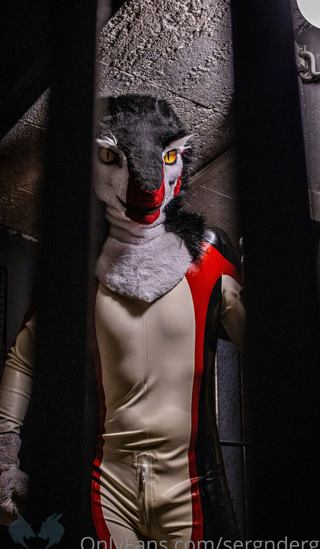 sergnderg kunst nette galerie