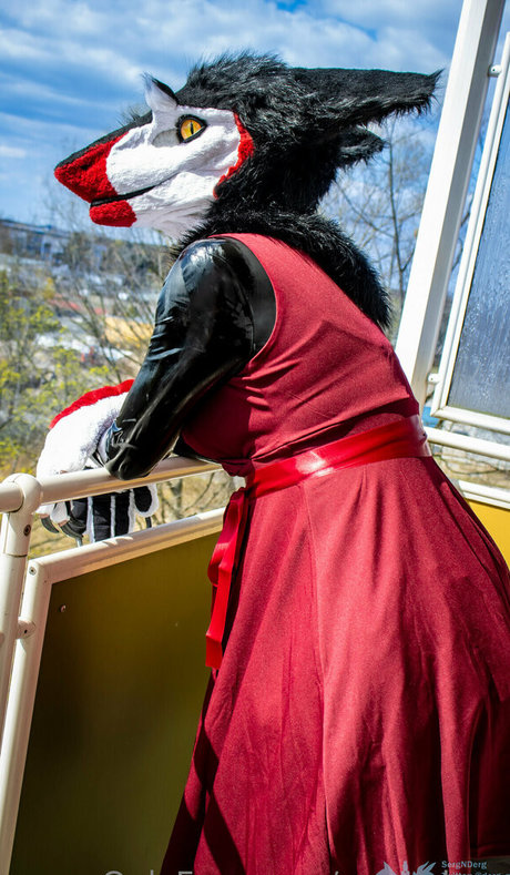 sergnderg perfekte schöne galerien