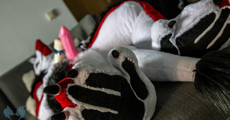 sergnderg sexy pornostar galerie