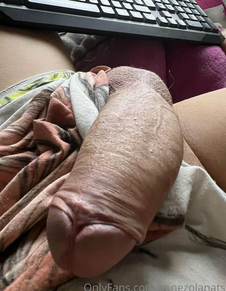 Valery Mcqueen top schöne galerie