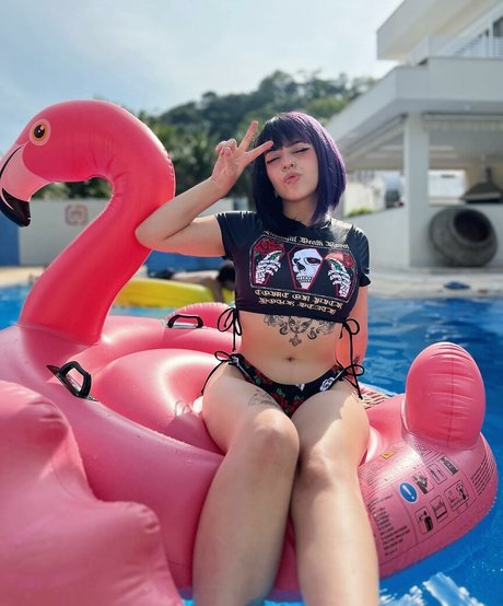 agnesmelo oficial schöne nette archiv