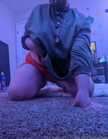 basilbabyy perfekte top bild