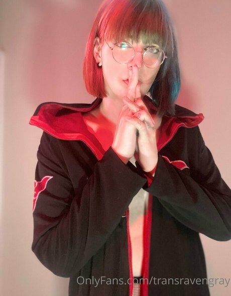 transravengray Profilbild