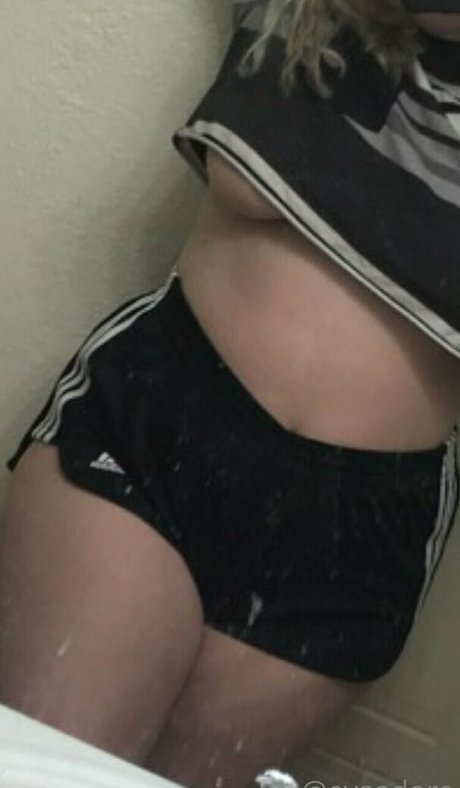 divine hedonist free beste hd bild