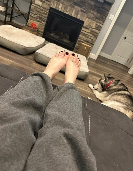 lovefromdaisyy hd freie bilder