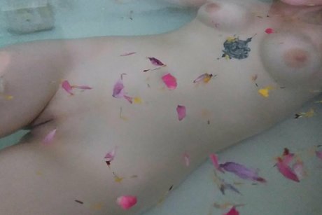 kittenclickbait heiße pornografische bild