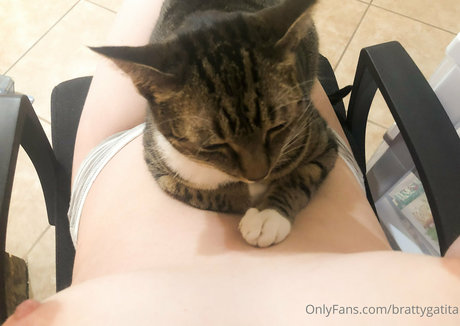 brattygatita hd akt archiv