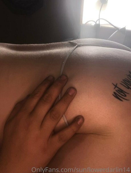 sunflowerdarlin14 pornostar kunst galerien