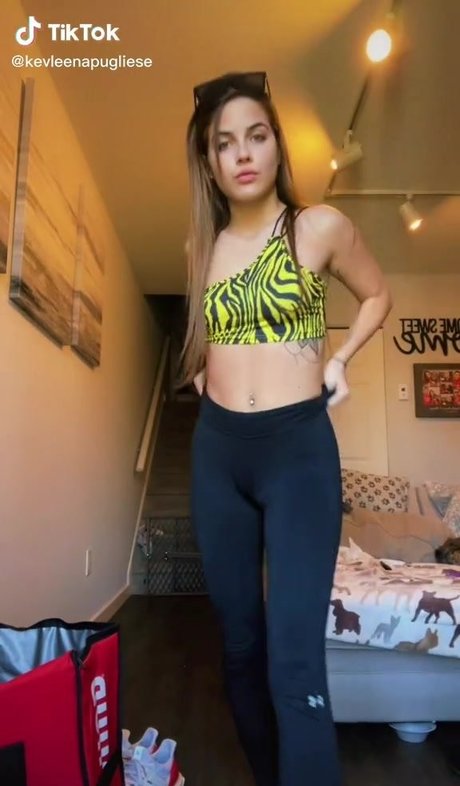 kevpugliese Profilbild