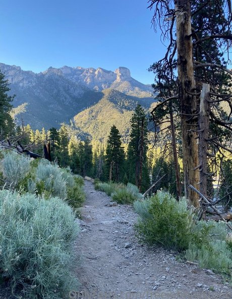 freejohnnystone perfekte sex fotos