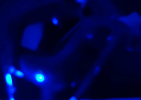 naoof schauspielerin perfekte bilder