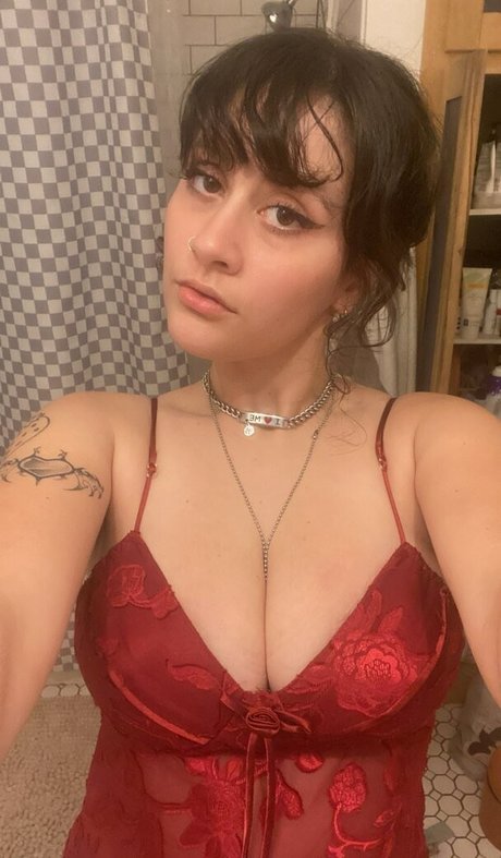 Rockifish schöne galerie