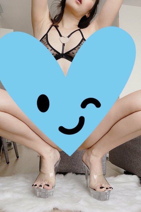 wuyixo beste kostenlose galerien